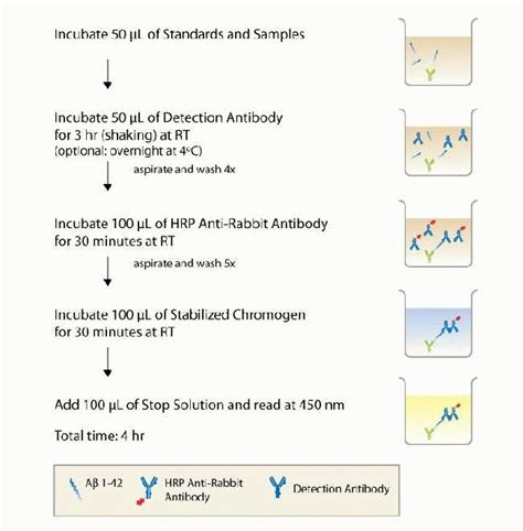 amyloid beta elisa kit thermo|amyloid beta 42.